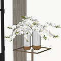 White Orchid Flowers In Transparent Striped Vases With Gold Base On Gold Metal Shelf