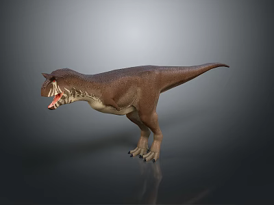 3D Model of T-Rex Dinosaur with Brown Skin Open Mouth Sharp Teeth on Gray Background 3d model