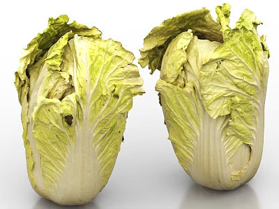 Two Fresh Green Leafy Cabbage Vegetables With Crisp Leaves For Healthy Cooking 3d model