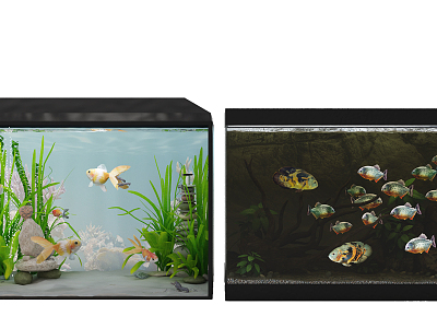 Fish tank model