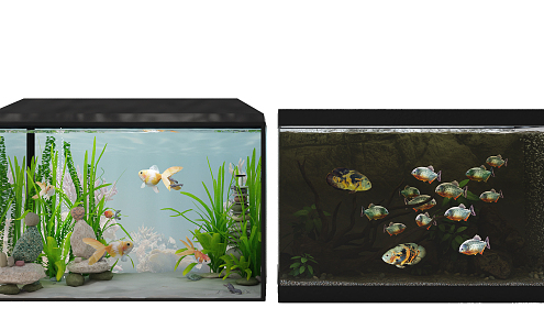 Fish tank 3d model