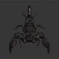Detailed 3D Model of Scorpion with Dark Exoskeleton Curved Tail and Sharp Claws