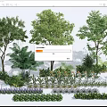 Lush Garden Flowers And Trees With Palm Plants Shrubs And Colorful Greenery