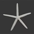 Detailed White Textured Starfish Isolated On Dark Background 3d model