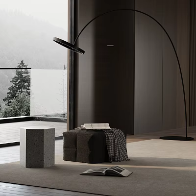 Comfortable Modern Lounge Chair in Cozy Indoor Space with Floor Lamp and Scenic View 3d model