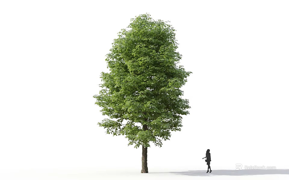 Tall Tree With Lush Green Foliage And Brown Trunk Near Walking Person 3d model 