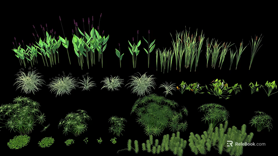 Various Kinds of Garden Flowers and Green Plants for Landscaping Design 3d model 