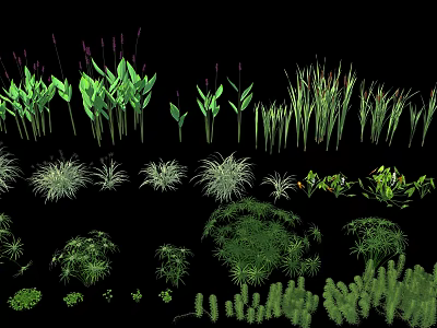 Various Kinds of Garden Flowers and Green Plants for Landscaping Design 3d model