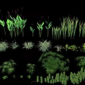 Various Kinds of Garden Flowers and Green Plants for Landscaping Design