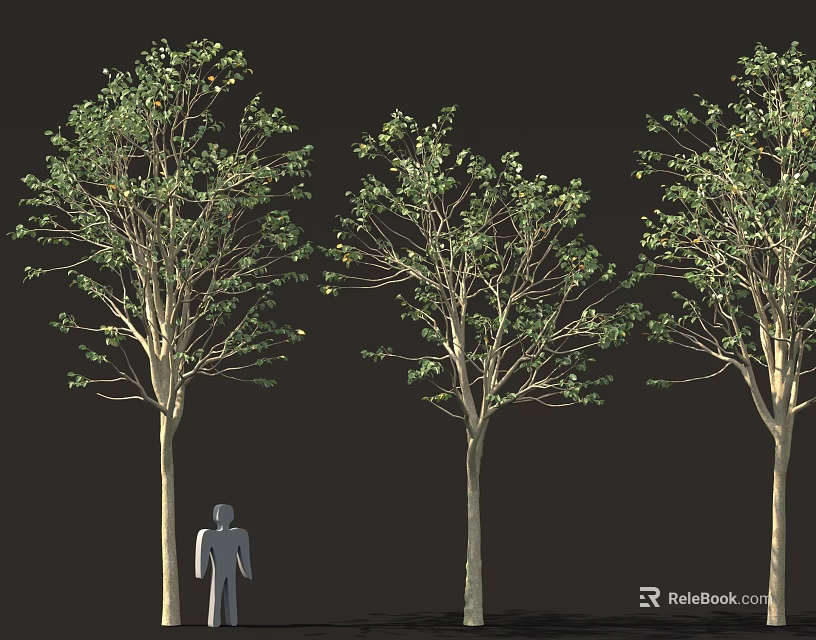 Tall Green Trees with Human Silhouette for Size Comparison Illustration Rendering 3d model