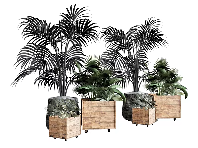 Potted Palm Plants With Wooden Stone Decorated Pots And Wheeled Bases 3d model