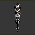 Standing Zebra With Black And White Stripes On Gray Background With Ground Reflection 3d model