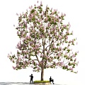 Arbor Featuring Purple Flowers And Green Leaves With People Standing And Sitting Under It