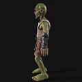 Game Movie Character Green Skin Slim Body White Sleeveless Top Brown Shorts Metal Wristbands