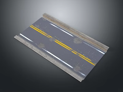 Gray Road Pavement With Double Yellow Solid Lines And White Edge Curb 3d model
