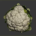Fresh Whole White Cauliflower With Green Leaves Healthy Vegetable On Dark Background