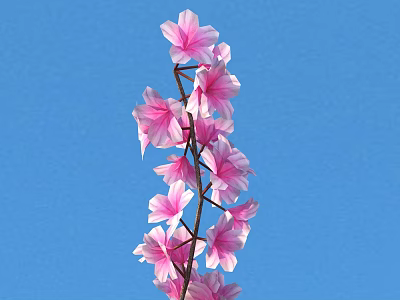 Multiple Pink Flowers on Stem Against Blue Sky Background 3d model