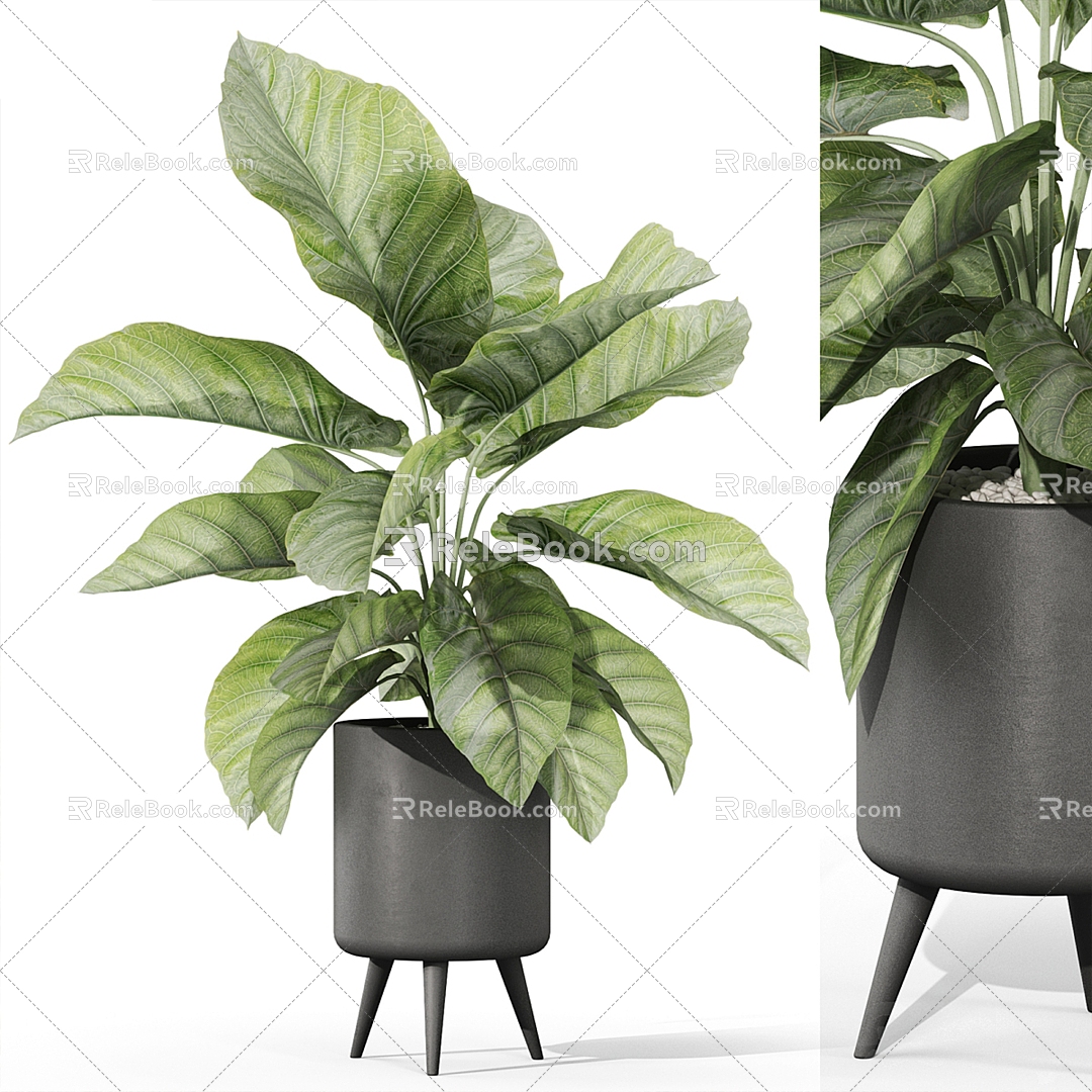 modern potted plant 3d model