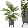 modern potted plant 3d model