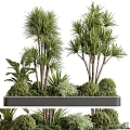 Urban Roadside Green Facilities With Planter Box Trees Shrubs And Green Plants