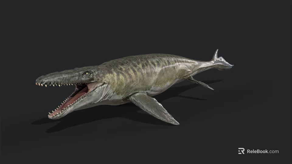 Prehistoric Aquatic Reptile With Sharp Teeth Open Mouth Flippers And Streamlined Body 3d model 