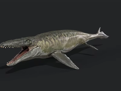 Prehistoric Aquatic Reptile With Sharp Teeth Open Mouth Flippers And Streamlined Body 3d model
