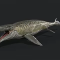 Prehistoric Aquatic Reptile With Sharp Teeth Open Mouth Flippers And Streamlined Body