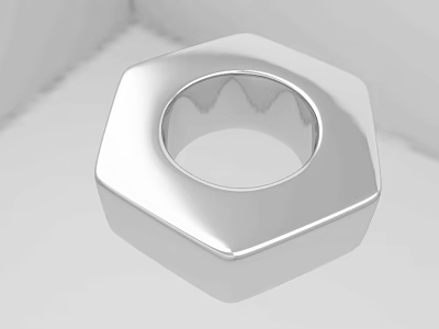 Hardware Tools Silver Hexagon Nut Made Of Stainless Steel For Industry 3d model