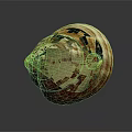 Beautiful Orange And White Striped Spiral Conch Seashell On Dark Background 3d model