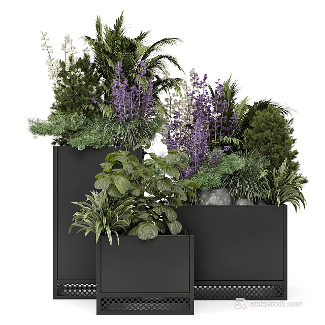 Modern Black Planters With Purple Blooms Green Foliage And Ferns 3d model 