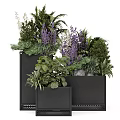 Modern Black Planters With Purple Blooms Green Foliage And Ferns