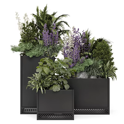 Modern Black Planters With Purple Blooms Green Foliage And Ferns 3d model