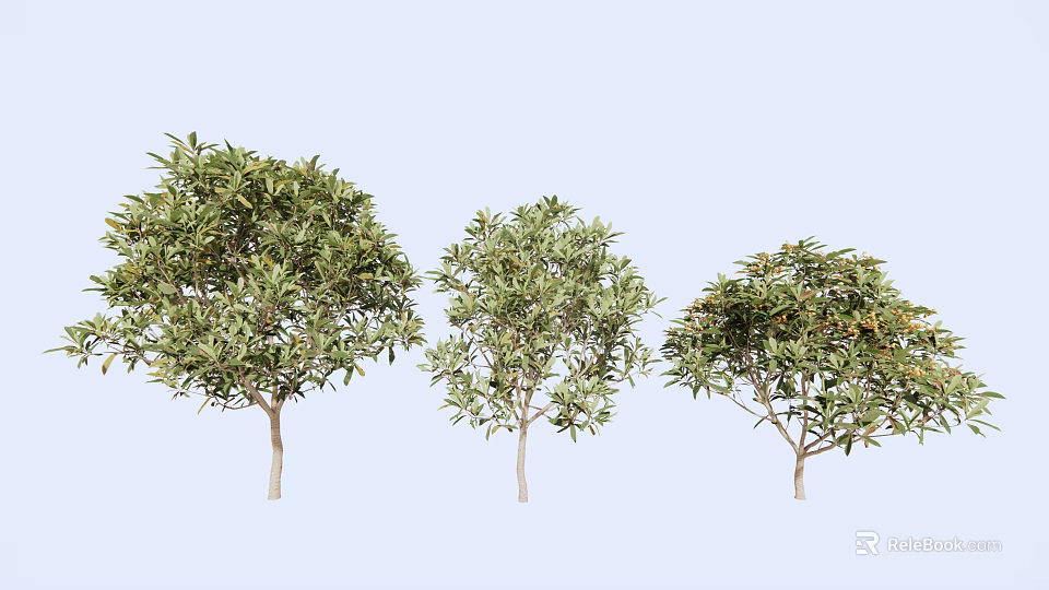 Three Arbor Trees With Lush Green Foliage And Varied Canopy Shapes 3d model 