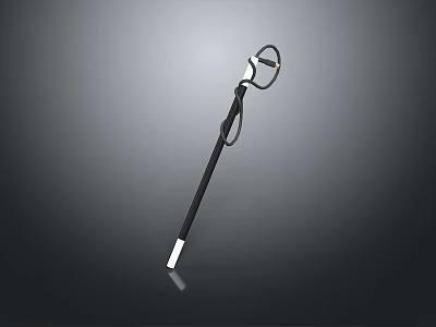 Black Cane With Curved Handle And Silver Base For Mobility Support 3d model