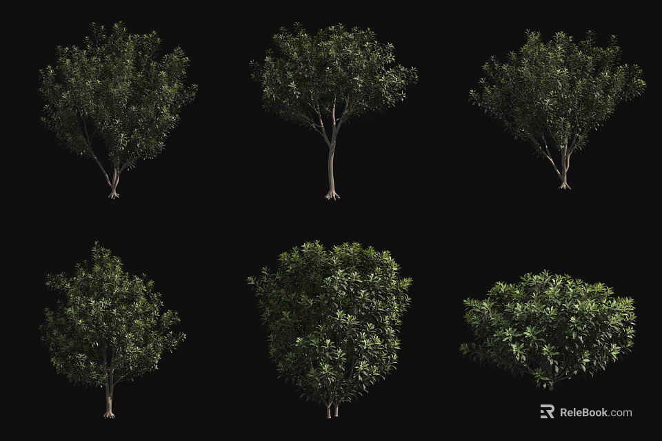Multiple Arbor Trees With Varied Crown Shapes And Green Foliage Isolated On Black 3d model 