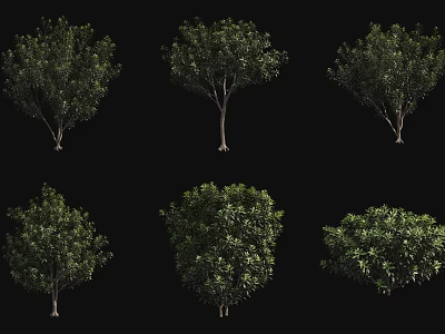 Multiple Arbor Trees With Varied Crown Shapes And Green Foliage Isolated On Black 3d model