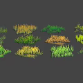 Various Green and Yellow Grass Varieties with Diverse Shapes for Landscaping