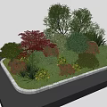 Diverse Shrubs With Colorful Foliage For Garden Landscape Design And Outdoor Decor