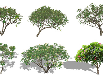 Modern Tree Egg Flower Shrub Landscape Tree 3d model