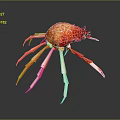 Vibrant Red and Orange Crab with Long White Legs on Dark Background with Reflection