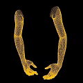 Mannequin Arms With Natural Skin Tone In Open Hands Pose For Fashion
