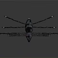 Mysterious Spider Creature Featuring Black Purple Body And Long Legs With Yellow Tips