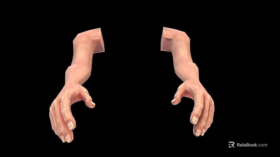 Realistic Human Arms And Hands Anatomical 3D Model Rendering On Black Background 3d model 