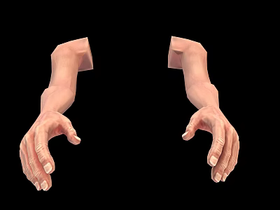 Realistic Human Arms And Hands Anatomical 3D Model Rendering On Black Background 3d model