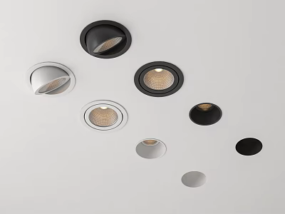 Ceiling Mounted Downlights And Spotlights In Various Black Silver Styles 3d model