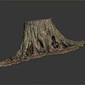 Tree Stump With Green And Pink Moss And Exposed Roots On Natural Ground