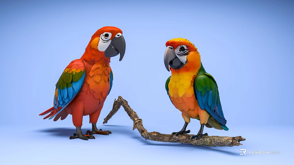 Two Vibrant Colorful Parrots Perched On Wooden Branch Against Light Blue Background 3d model 