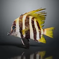 Yellow And Black Striped Fish With Yellow Fins And Blue Eyes On Dark Background