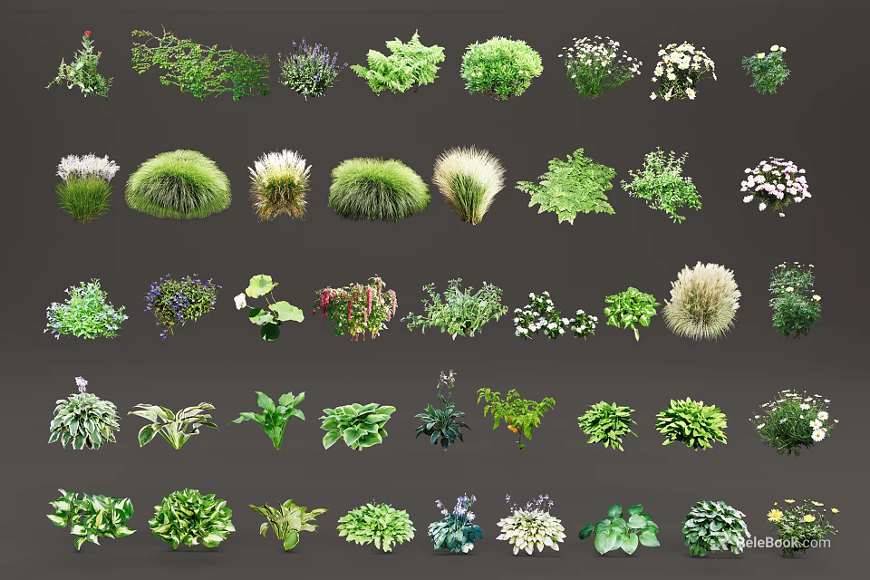 Various Types of Flowers and Plants with Green Foliage and Colorful Blooms 3d model 