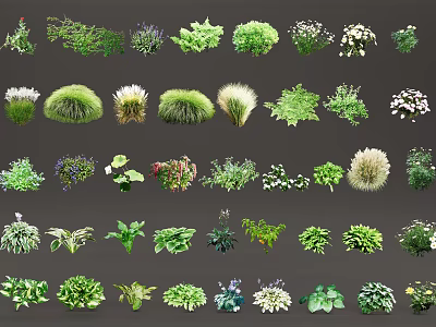 Various Types of Flowers and Plants with Green Foliage and Colorful Blooms 3d model